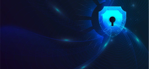 Protect your Business with Effective and Cheap Anti-DDOS